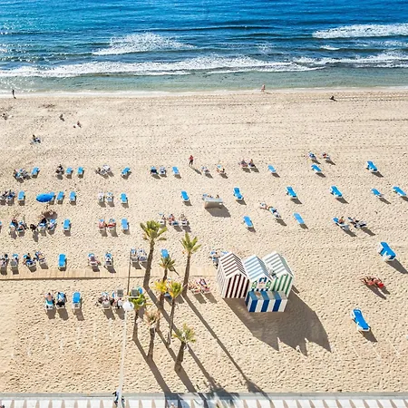 شقة Veracruz 10 *