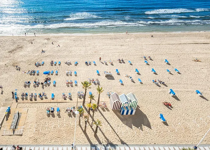 Apartman Veracruz 10 *